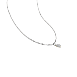 Aagaard Student vedhng 1680-MD-BB01