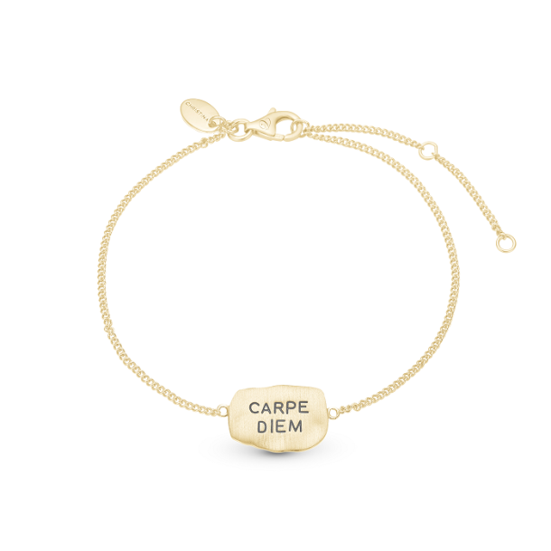 Christina Carpe Diem armbnd 601-G27