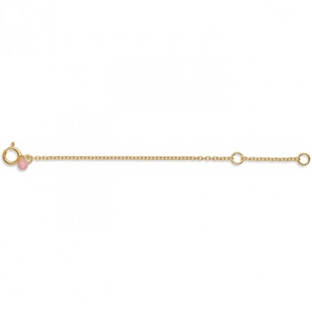 Enamel Extender Anklet forgyldt B52G