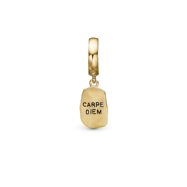 Christina - Carpe Diem charm