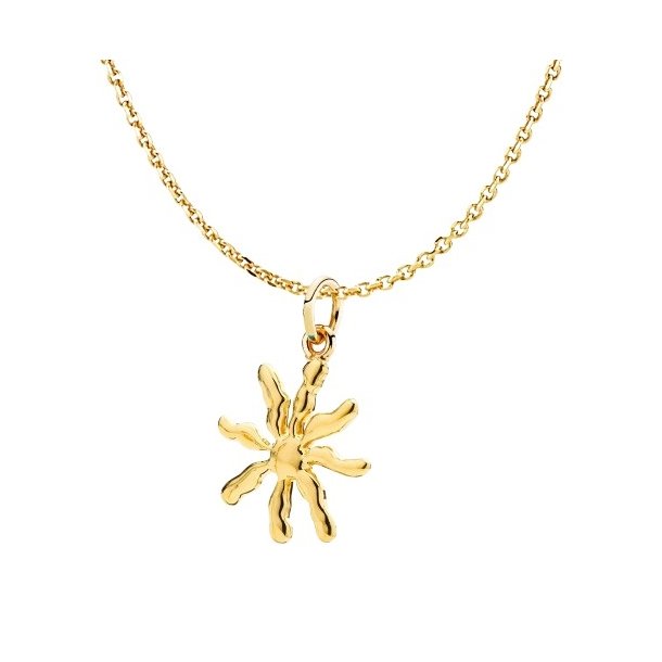 Izabel Camille Cornelia Halskde as65002gs