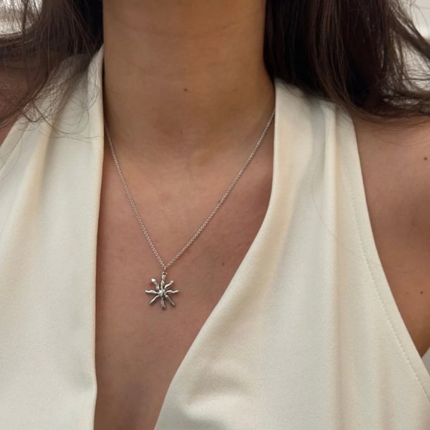 Izabel Camille Cornelia Halskde as65002sws