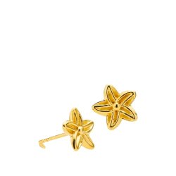 Izabel Camille Rosalina reringe a1855gs