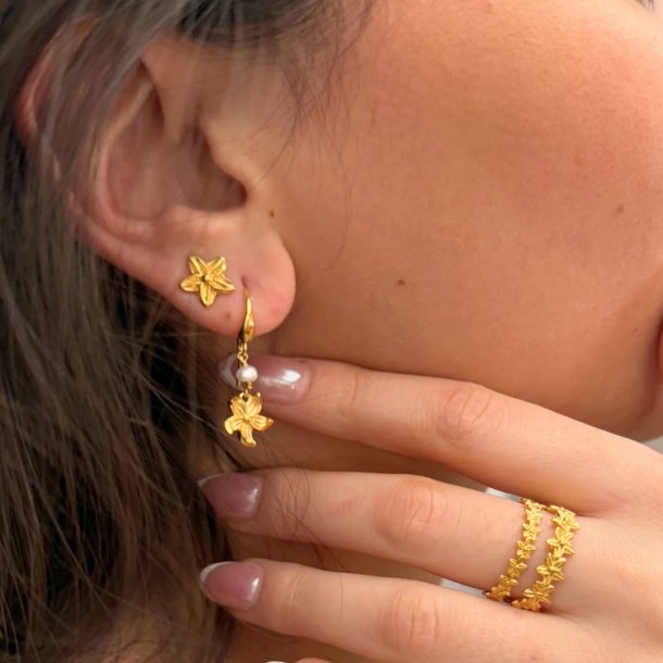 Izabel Camille Rosalina reringe a1855gs