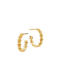 Izabel Camille Rosalina reringe a1856gs