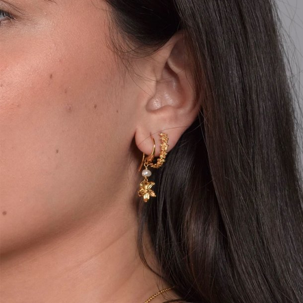 Izabel Camille Rosalina reringe a1856gs