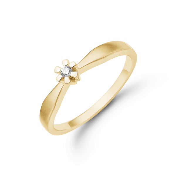 Eternity by Aagaard ring 8 kt. guld 0,03 ct. WPI