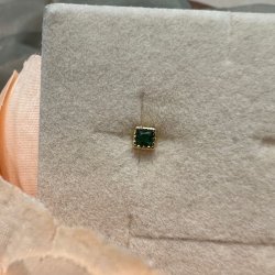 Donnatella Lina reringe med grn sten