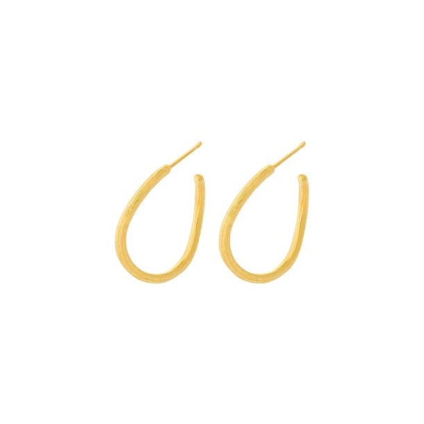 Pernille Corydon Small Eva Hoops E-249-GP