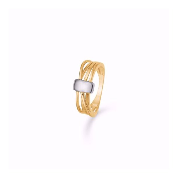 Guld &amp; Slv Design 8 kt. ring 8392/6/08