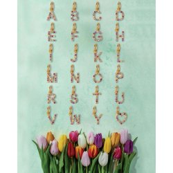 Susanne Friis Bjrner Bogstav F 1895-2-006