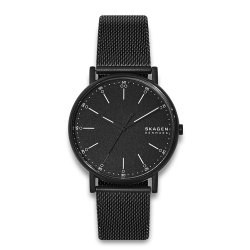 Skagen Signatur SKW6579